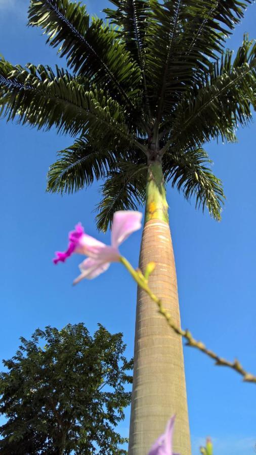 Pouso Bom Retiro Hotel Paraty Ngoại thất bức ảnh