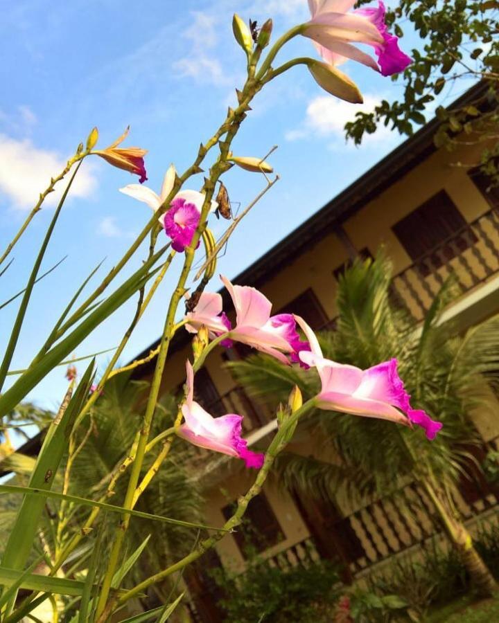 Pouso Bom Retiro Hotel Paraty Ngoại thất bức ảnh